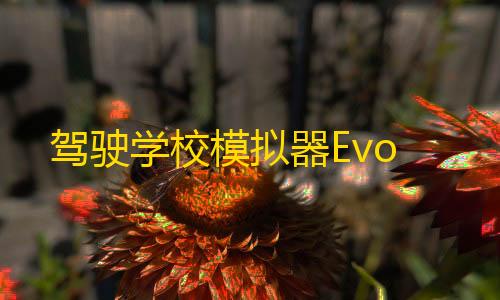 三角洲卡网开心助手最新版本更新内容详情驾驶学校模拟器Evo